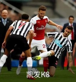 精选案例